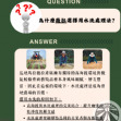 哥倫比亞 薇拉